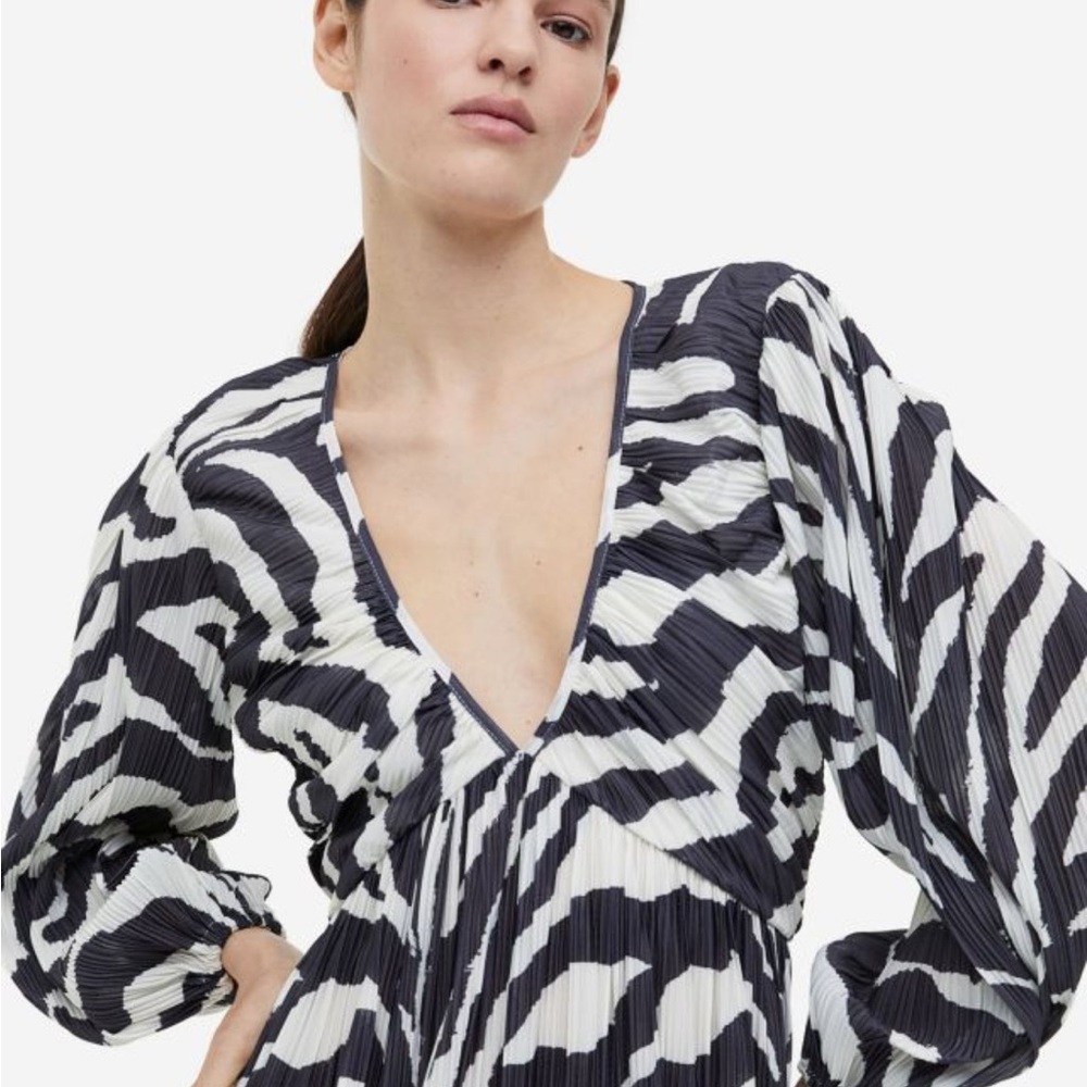 Fabulous sought after sold out  H&M black-and-white zebra print dress